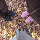 경주풀빌라 스테이태평 | 경주 불국사 인근 감성 풀빌라 추천 스테이태평