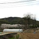 버들농원 이미지