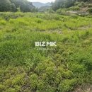 반포면사무소 이미지