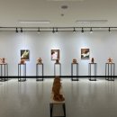 꿈꾸는 나무 도서관 이미지