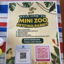 JB행복농장 | 말레이시아 조호르 (조호바루) 선웨이 미니 동물원 (Mini Zoo)에서 토끼, 오리 만난 후기