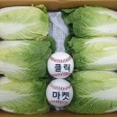 클릭 클릭 이미지