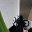 뽑기플렉스 이미지