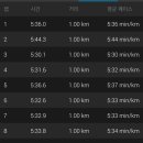 양지천 마평동 이미지