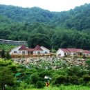 올림픽펜션 이미지