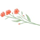 스타벅스시흥은계점 이미지