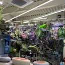 좋은아침 군포점 | [군포카페] 좋은아침페스츄리 시그니처점 솔직 후기