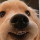 해피브런치 이미지