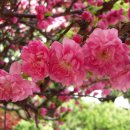 연서초등학교 이미지