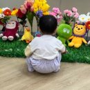 튼튼영어베이비리그용인수지센터