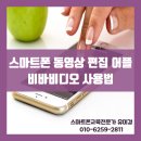 비바비디오 이미지