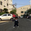 남열농장 이미지