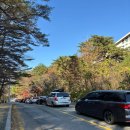 11월 중순 설악산 울산바위 등산 단풍 후기