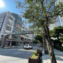 꿈꾸는아이들  팜스어린이집 이미지