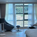 메종동물병원 | 세종 드이자르 산후조리원 2호점 계약 후기