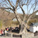 밀레니엄 이미지