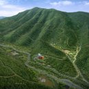 웰빙영농조합 농장 이미지