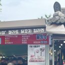 낙동강학생수련원 | 전남 곡성 | 2025 곡성세계장미축제 할머니와 나들이 후기
