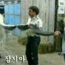 그루밍아이엠 이미지