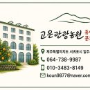 고은관광농원 휴양콘도미니엄 네이버블로그