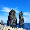 명신관광 이미지