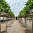 온누리농장 이미지