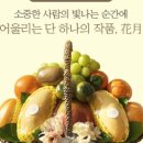 화월청과일산