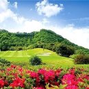 포항골프장(대중9홀) 이미지