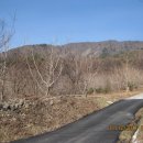 이석재농장 이미지