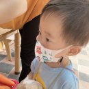 과일사요야채사요 - 북구 효열로 221 | 과일사요야채사요
