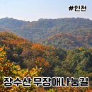 석남완충도시숲 | 인천 부평 장수산 무장애나눔길 초보를 위한 등산 코스