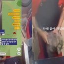 y동물병원 이미지