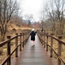 율봉근린공원(세무서) | 2022.03.01. [청주 둘레길 24] 충북 청주 율량천 수변산책로(3)