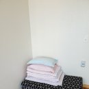 둥구민박 이미지