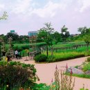 푸른수목원 이미지