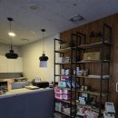 펫퍼스트 24시 강아지분양 고양이분양 이미지