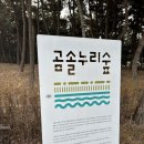 [시흥시 반려견 산책] 곰솔 <b>누리</b><b>숲</b>