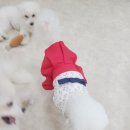 연산유치원 이미지