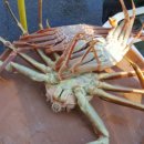 해변횟집 이미지