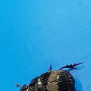 산골편의점 이미지