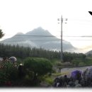 부흥농장 이미지