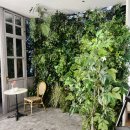 푸른푸릇 | 인천세미앙 내부 인테리어 &amp; 분위기 후기｜깔끔한 화이트톤 감성 스튜디오, 자연광 푸릇 배경