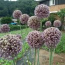 연님농장 이미지