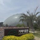 경남 거제 아이랑 가볼만 한곳 실내 수목원 정글돔 후기