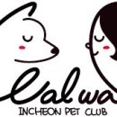 아임버디 이미지