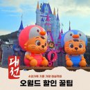 코리아문화예술단 | 대전 오월드 할인 꿀팁(4인가족 이렇게 아꼈어요)