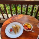 코코하우스(KoKo House) | 혼자 발리 여행 우붓 쿠 게스트 하우스 Ubud KU Guest House 숙소 후기