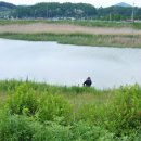 달천교 옆 이미지