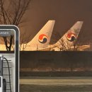 신유니드 | 이시가키 태교여행