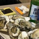 새통영다찌 이미지